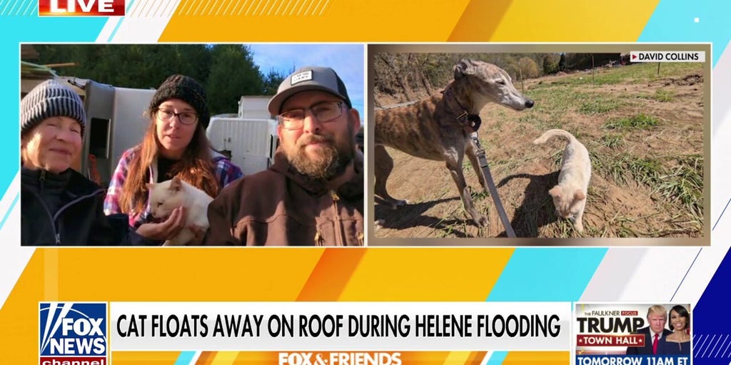 Cat returns to North Carolina family 8 days after floating away during Helene flooding