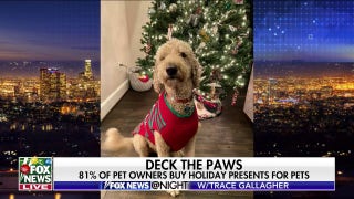 Christmas presents for pets? - Fox News