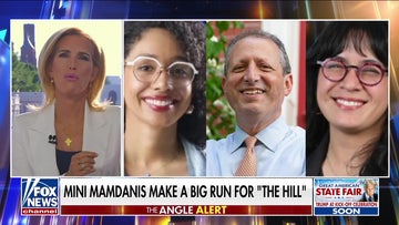 Laura Ingraham: Democrats in New York just picked a slate of candidates who hate it