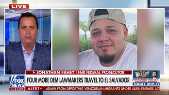 Dems' El Salvador trip is 'puzzling,' says former acting ICE director