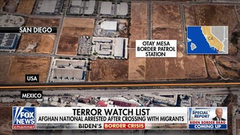 Afghan national arrested in Border Patrol's San Diego sector after crossing with migrants