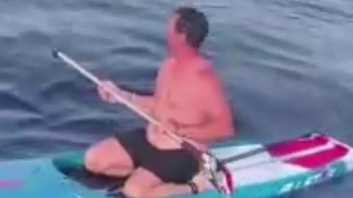 Florida paddleboarder trailed by hammerhead shark miles off coast