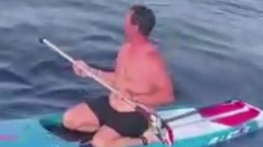 Florida paddleboarder trailed by hammerhead shark miles off coast