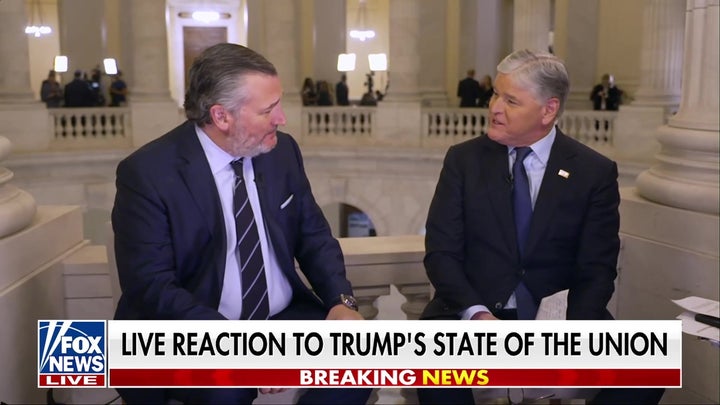 Democrats are ‘rooting against America,’ Sen Ted Cruz says