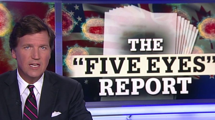 COVID-19 timeline: Tucker examines leaked document detailing China's cover-up
