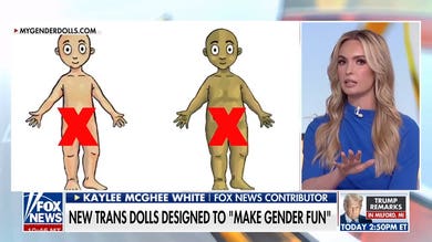 Taxpayer-funded transgender dolls coming to Minnesota schools