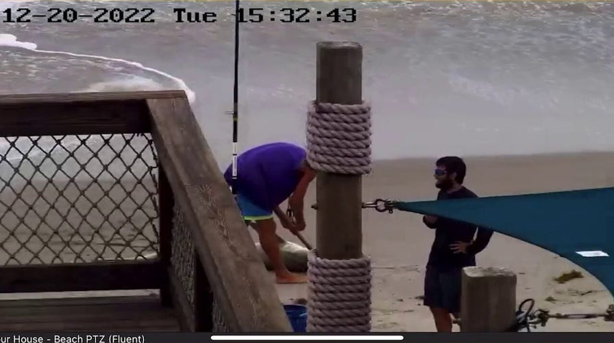 Florida officials investigating video of man who allegedly bludgeoned shark with hammer