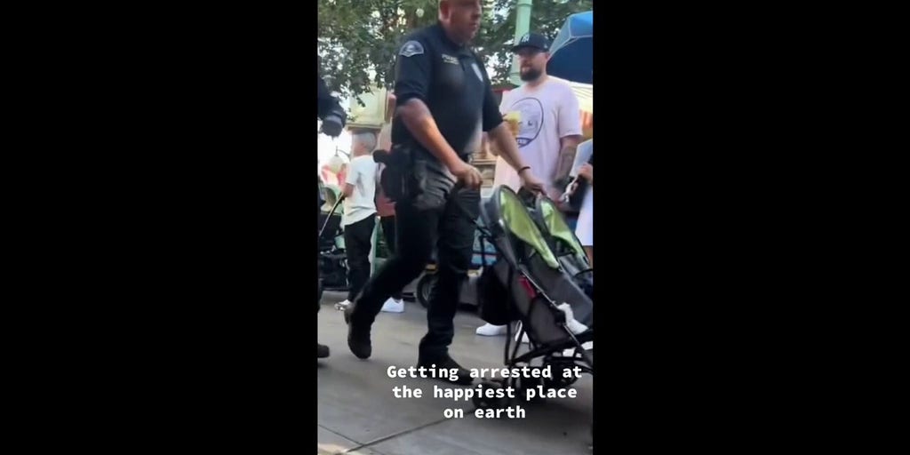 Woman arrested at Disneyland after failing to show valid ID