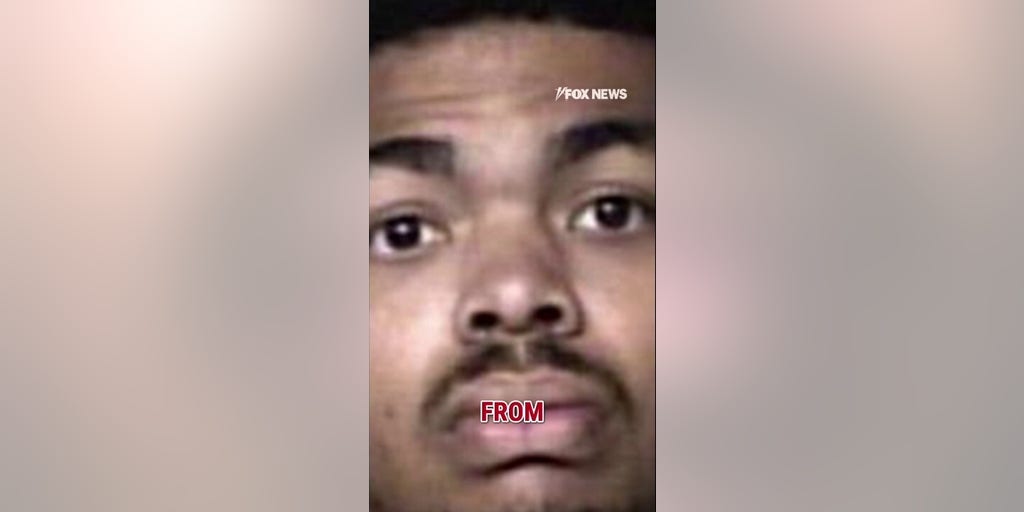 Law enforcement thwarts brutal planned New Year's Eve attack