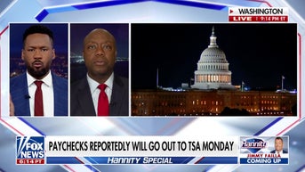 We’re in this position because Democrats put illegal immigrants first: GOP senator - Fox News