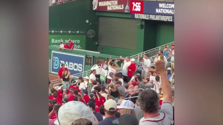Anti-Israel protesters in the stands at the Congressional Baseball Game