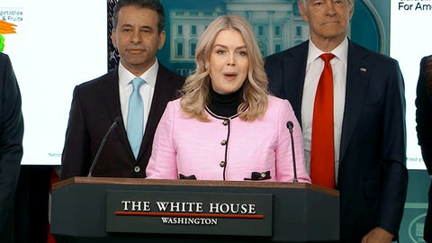 WATCH LIVE: Leavitt, Kennedy and Rollins hold White House briefing - Fox News