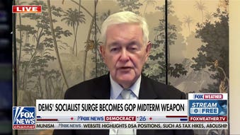 Newt Gingrich predicts historic GOP midterm election