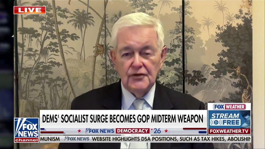 Newt Gingrich predicts historic GOP midterm election