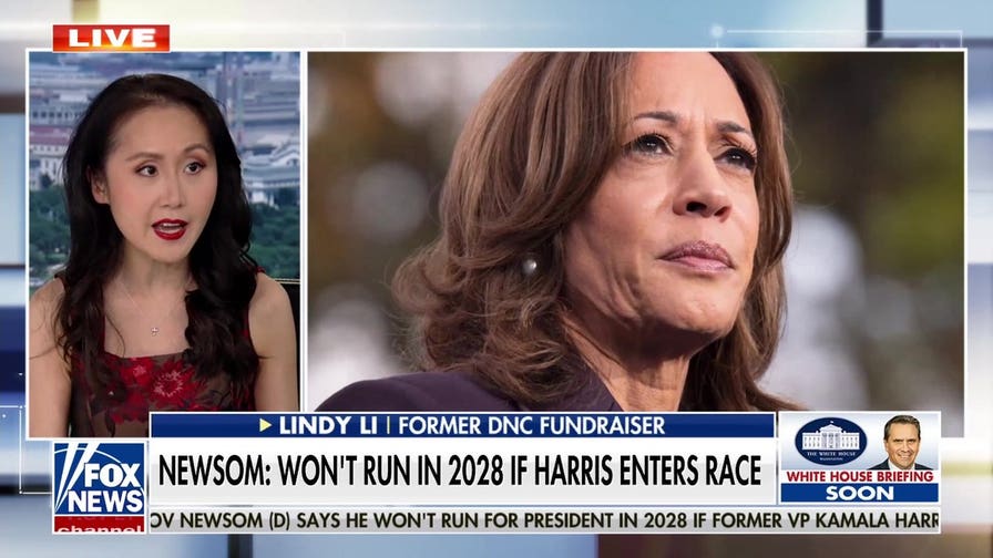 Harris was the ‘weakest possible candidate’: Former DNC fundraiser