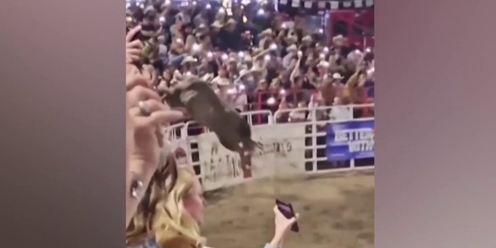 Rodeo bull jumps over arena fence, injuring 4 people in Oregon