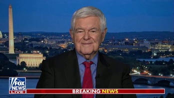 'UNFAIR': Newt Gingrich shares his take on fighting between Dems and any member of Trump admin