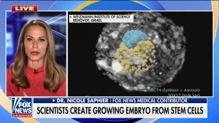 ‘Concerning’ discovery as scientists create embryo from stem cells: Dr. Nicole Saphier - Fox News