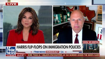 Ron Vitiello: Kamala Harris' border hypocrisy is off the charts