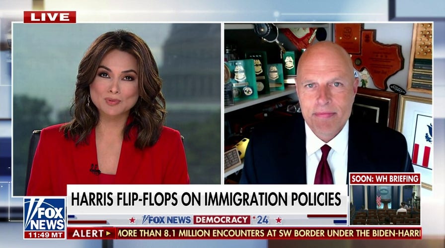 Ron Vitiello: Kamala Harris' border hypocrisy is off the charts