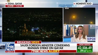 Iranian regime has a 'strategic dilemma,' former Trump envoy says