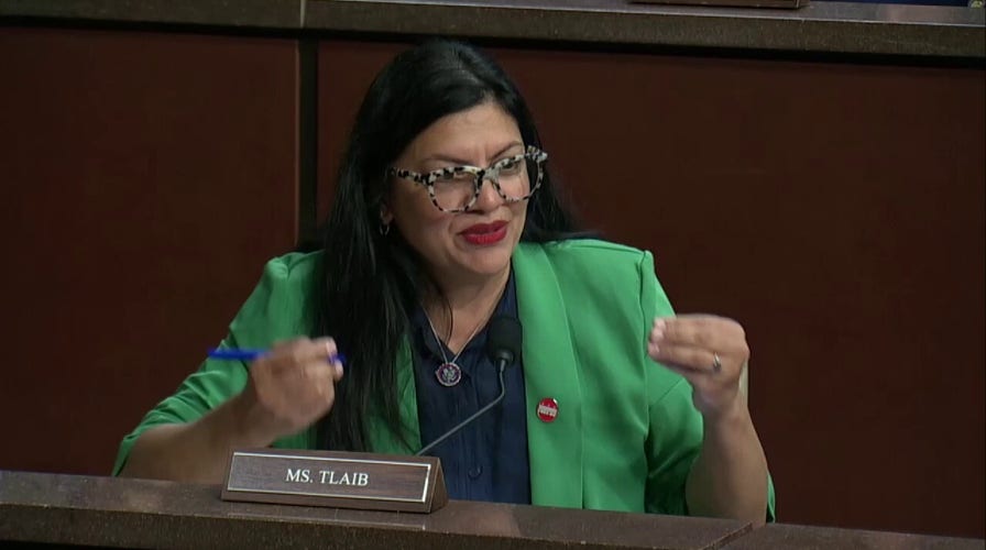 WATCH: Rashida Tlaib’s ‘fascist’ label sparks shouting match with Byron Donalds