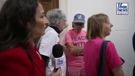 CodePink activists questioned on motives ahead of foreign influence hearing