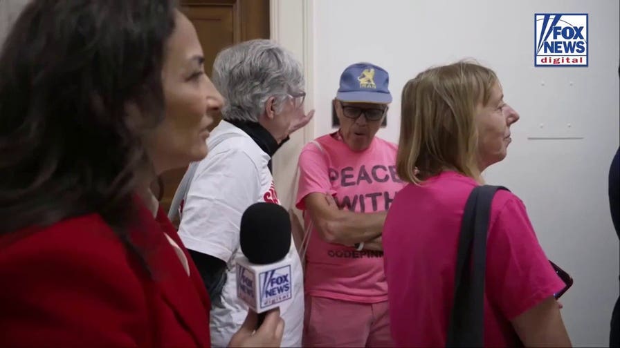 CodePink activists questioned on motives ahead of foreign influence hearing