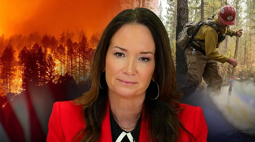 Wildfire preparedness not compromised by Forest Service exits, USDA chief says