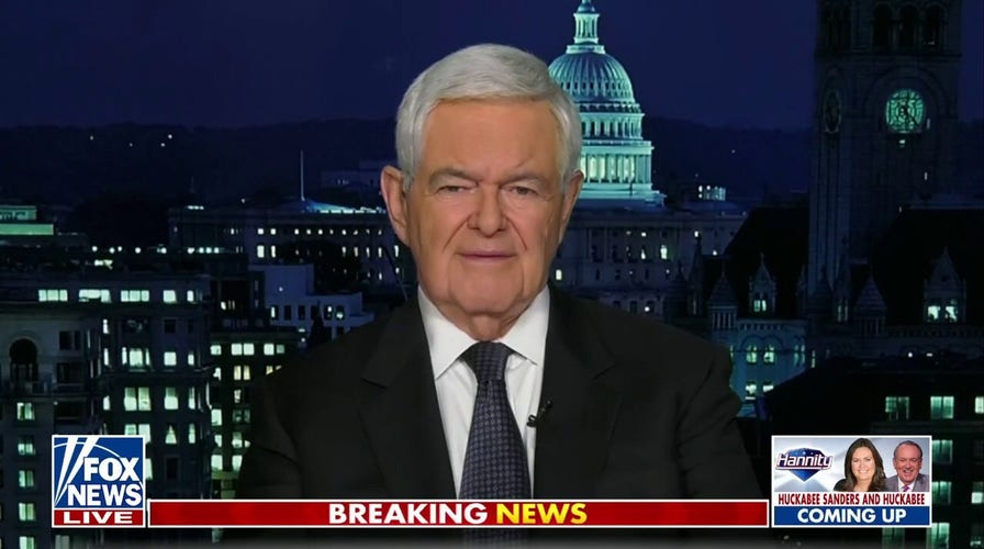 Newt Gingrich: Pelosi's committee removals have come back to bite her