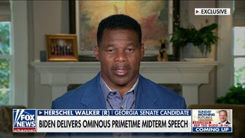Herschel Walker rips Warnock's lack of business experience: 'He never built anything'