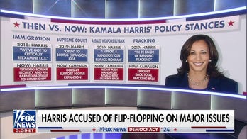 Karl Rove: Here’s how the Trump campaign can prosecute the case against Kamala Harris