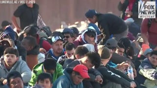 Arizona rancher fears cartels overwhelm Border Patrol as a ‘diversionary tactic’ - Fox News