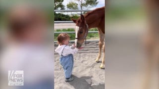 Utah toddler shows off special bond with horses at family barn - Fox News