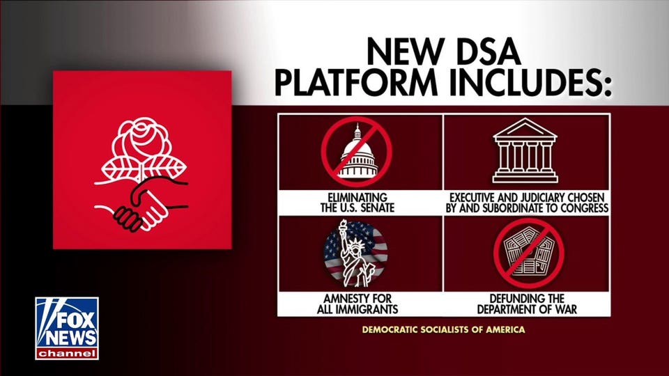 DSA unveils new platform calling for elimination of US Senate, amnesty for immigrants