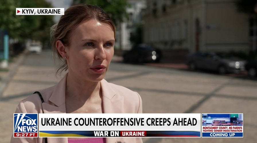 Ukrainian lawmaker requests additional Western military aid