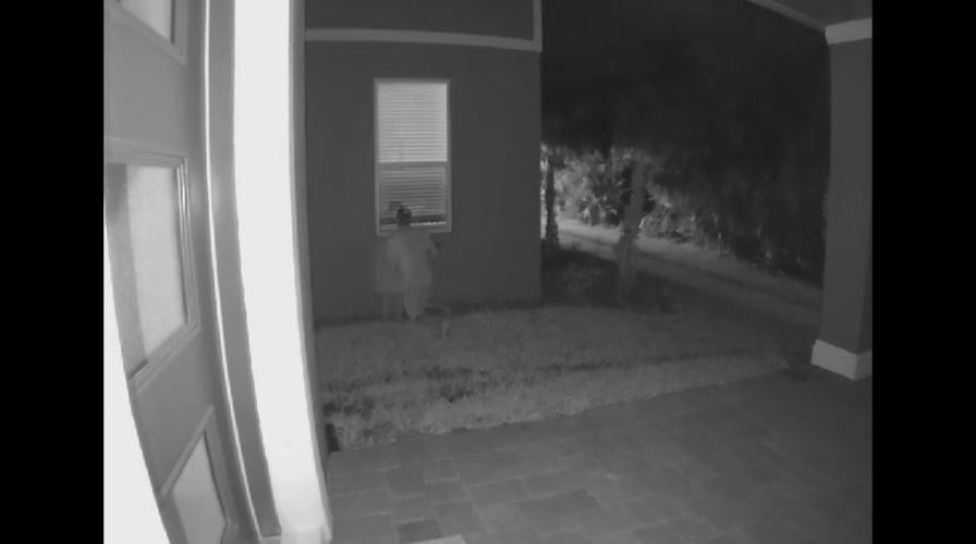 Florida deputies chase man seen on video 'peeking into' woman's window