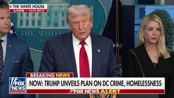 WATCH: Trump warns 'liberal' press against growing crime surge in DC