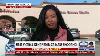 California mass shooter's motive may have been a 'domestic dispute'