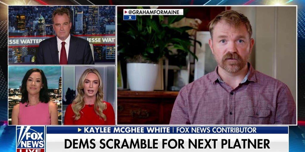 Platner 'exposes' Democratic Party's problems in exit video: Expert