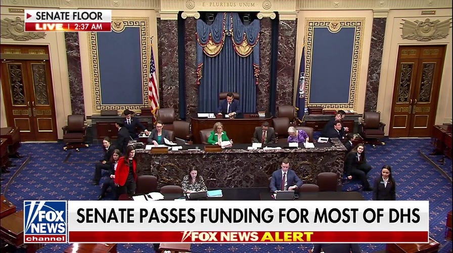 Senate passes backing  for astir   of DHS