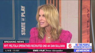 Dem strategist on MS NOW shrugs off Alaska ballot scandal