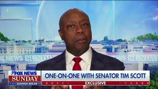 Tim Scott says last couple of weeks under Trump have been 'remarkable success'
