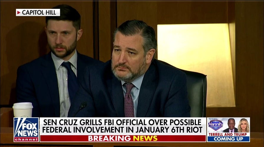 Cruz calls for transparency on Jan. 6 riot