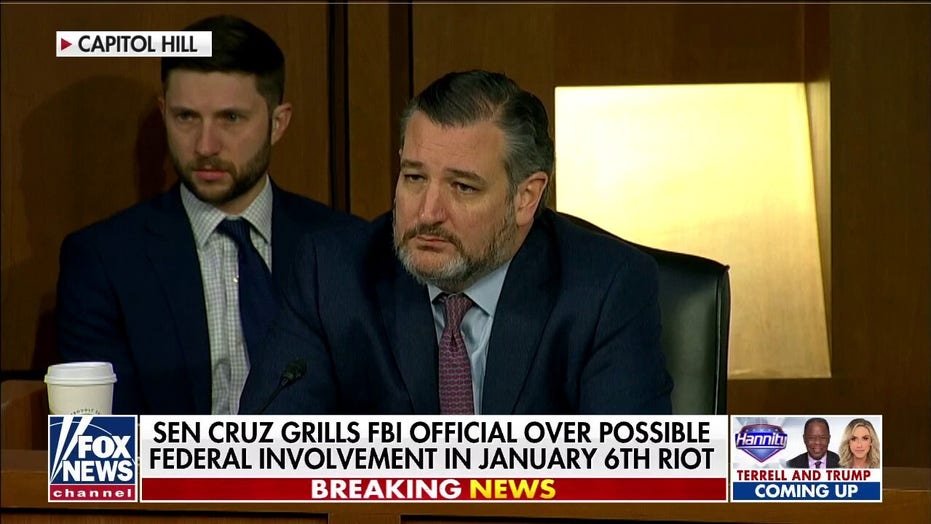 Cruz slams ‘arrogance’ of FBI to stonewall his Jan. 6 questions: ‘Did they actively solicit illegal conduct?’
