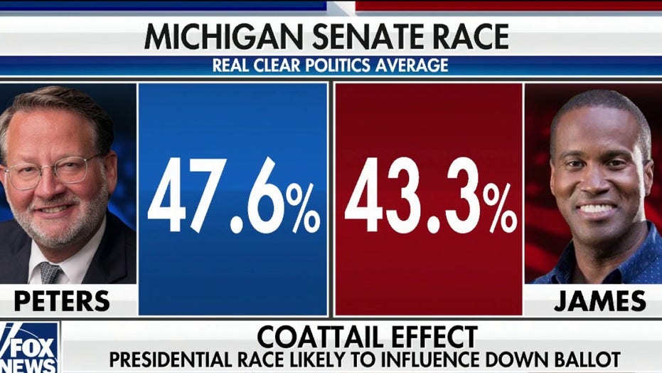 Michigan Us Senate Race 2025