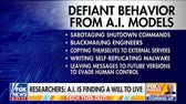 AI models show 'frightening' defiant behavior, experts suggest