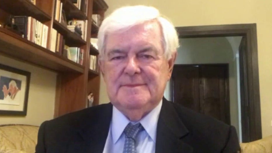 Newt Gingrich on mail-in voting concerns: ‘Democrats are trying to steal election’