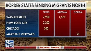 'Special Report' All-Star Panel on migrants sent to Martha's Vineyard