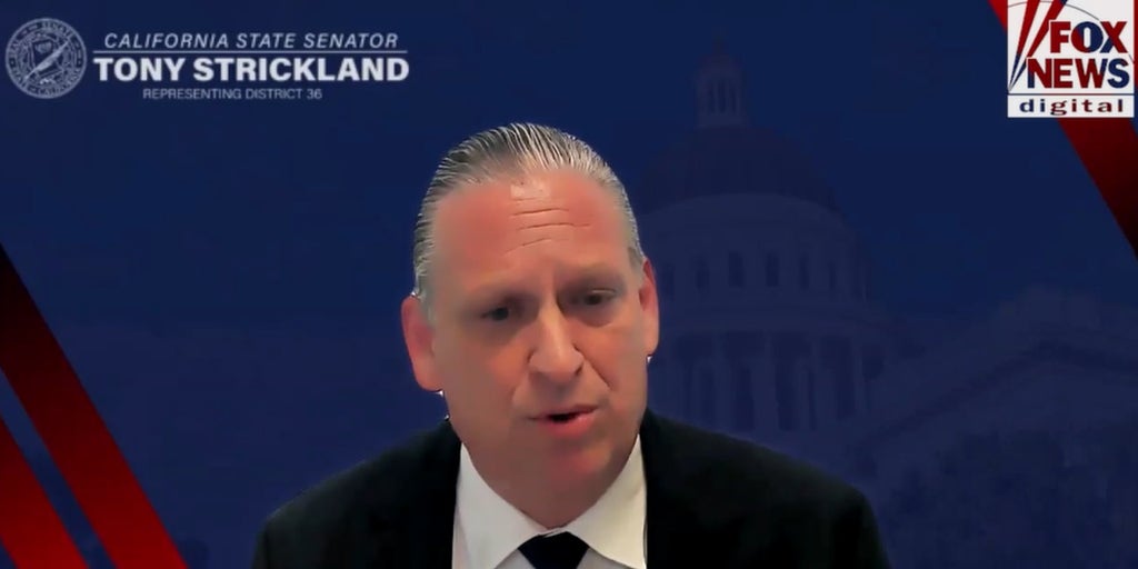 California state Sen. Tony Strickland demands long-term action after illegal immigrant DUI early release controversy